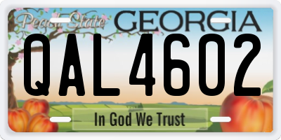 GA license plate QAL4602