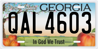 GA license plate QAL4603