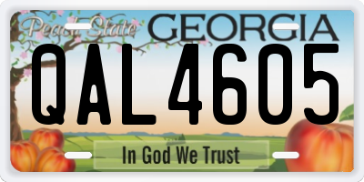 GA license plate QAL4605