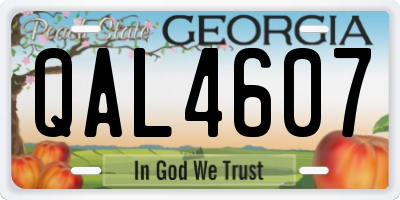 GA license plate QAL4607