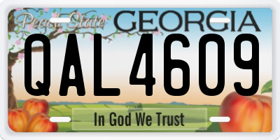 GA license plate QAL4609