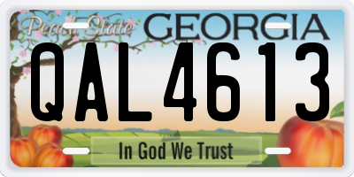 GA license plate QAL4613