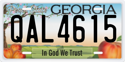 GA license plate QAL4615