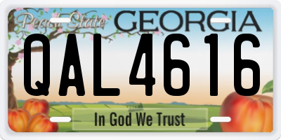 GA license plate QAL4616