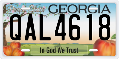 GA license plate QAL4618