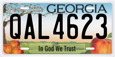 GA license plate QAL4623