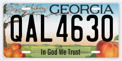 GA license plate QAL4630