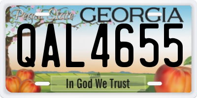 GA license plate QAL4655