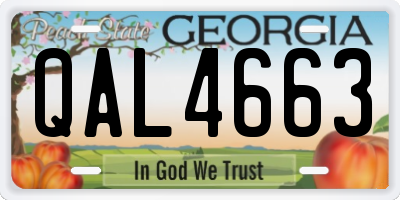 GA license plate QAL4663