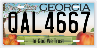 GA license plate QAL4667