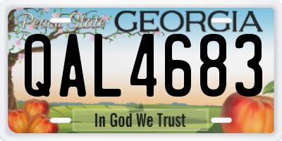 GA license plate QAL4683