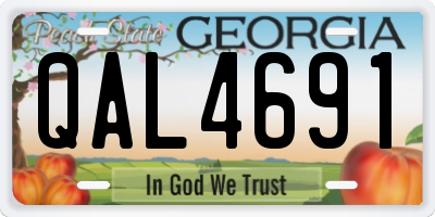 GA license plate QAL4691