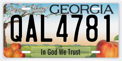 GA license plate QAL4781