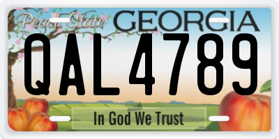 GA license plate QAL4789