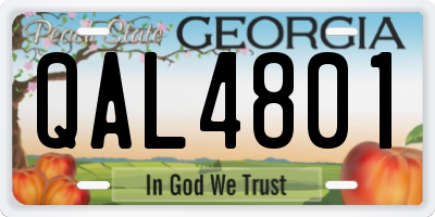 GA license plate QAL4801