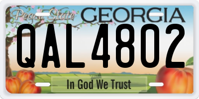 GA license plate QAL4802
