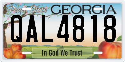 GA license plate QAL4818