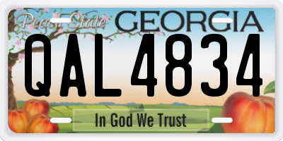 GA license plate QAL4834
