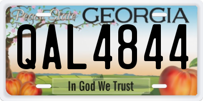 GA license plate QAL4844