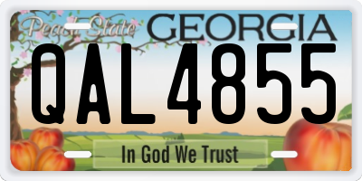 GA license plate QAL4855