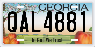 GA license plate QAL4881