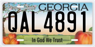 GA license plate QAL4891