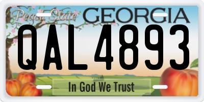 GA license plate QAL4893