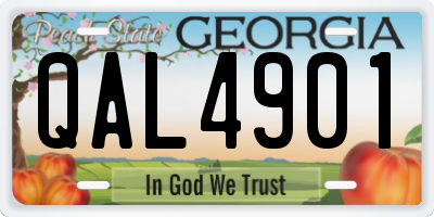 GA license plate QAL4901