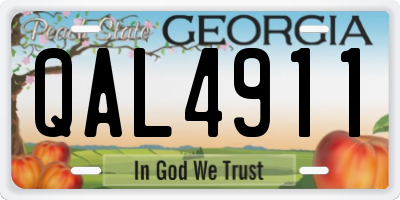 GA license plate QAL4911