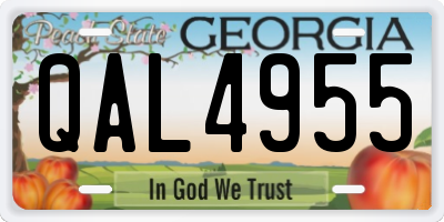 GA license plate QAL4955