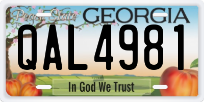 GA license plate QAL4981