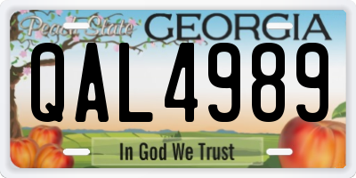 GA license plate QAL4989