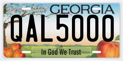 GA license plate QAL5000