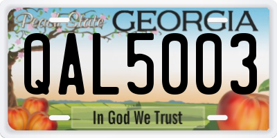 GA license plate QAL5003