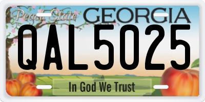 GA license plate QAL5025