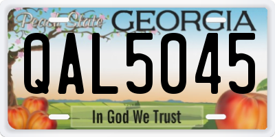 GA license plate QAL5045