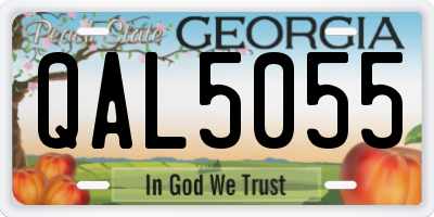 GA license plate QAL5055