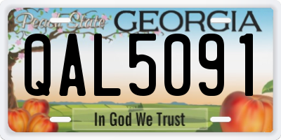 GA license plate QAL5091