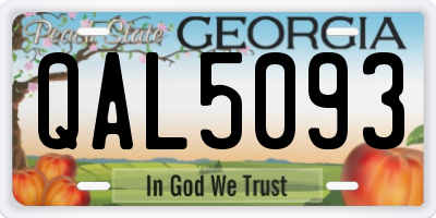 GA license plate QAL5093