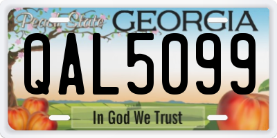 GA license plate QAL5099