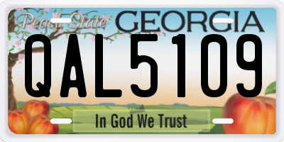 GA license plate QAL5109