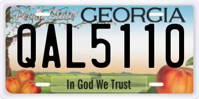 GA license plate QAL5110