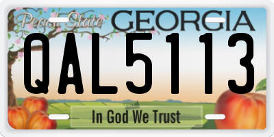 GA license plate QAL5113