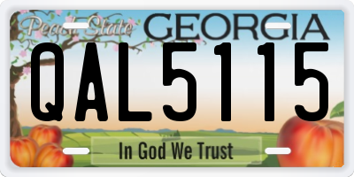 GA license plate QAL5115