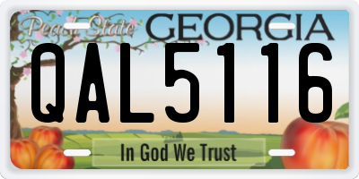 GA license plate QAL5116