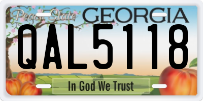 GA license plate QAL5118