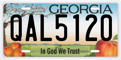 GA license plate QAL5120