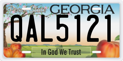 GA license plate QAL5121