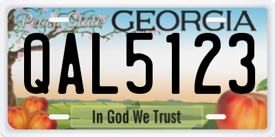 GA license plate QAL5123