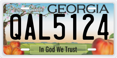 GA license plate QAL5124